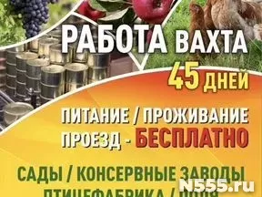 Требуются разнорабочие